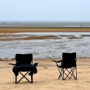 세렝게티 이미지