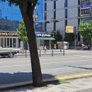 유천 타이어 이미지