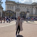 그린게임장 이미지