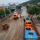 보문산로 이미지