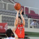 팡팡 점프볼