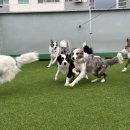 486독캠프 이미지