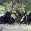 부대사진관 중앙일보