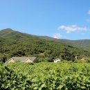 별빛흐르는마을 이미지