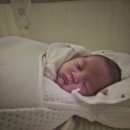 [D+45 ~ 51] 김럭끼 일상 지금은 원더윅스 진행중, 벌써 50일!