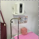 반려견 셀프미용 | 서울애견셀프미용 간편하고 즐거운 반려견 셀프 목욕 후기