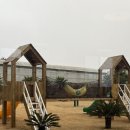 호명농장 | 제주 서쪽 아이랑 가볼만한곳 스위트몽키 후기