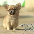보리콩이네 이미지
