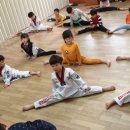 브레인움 흑룡태권도 이미지