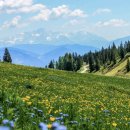 리더스 행정사사무소 이미지