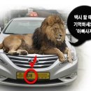 냠냠 이미지