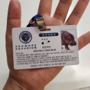 초양선착장 | [사천가볼만한곳] '아라마루 아쿠아리움' 할인정보, 연간회원권, 주차정보, 하마 시간, 솔직후기