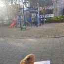 용당어린이공원 이미지