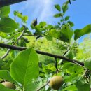 최성농장 이미지