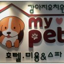 마이펫 강아지유치원 이미지
