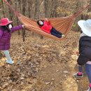 나무와새어린이집 이미지