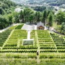 자연의 품 이미지