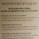 LCR 원거리 딜러들 뜯어먹어보기 #2 이미지