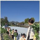 행복한도담어린이집 이미지