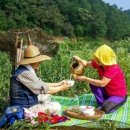 CHIARA끼아라 이미지