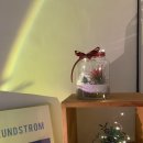 반려식물 테라리움 만들기 이미지