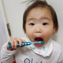 치카치카 이미지