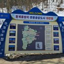 길인목장 | 3월, 아직 강원도는 겨울인 [대관령양떼목장] 후기