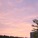 마포구민체육센터 화장실 이미지