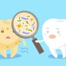 밤마다야식 이미지