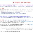 로맨틱허니문앤투어