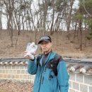 잇앤핏 | 잇더핏 쉐이크 신제품 쿠키앤크림 맛 후기 / 잇더핏쿠키앤크림쉐이크 단백질쉐이크추천