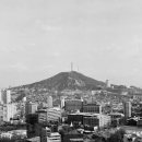 남산 이미지