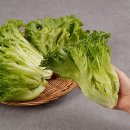 지투지 이미지