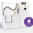 댕댕샤워 이미지