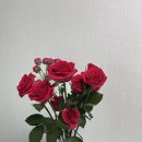 늘꽃길 - 성동구 아차산로 18 | 늘꽃길