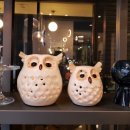 엣지오브넬 이미지