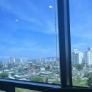 피트밀리경산