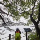 민내마을 | 태화산 고씨굴등산코스 민쥬쥬 태화산을 걷다❤️