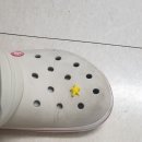 3D앤플라이