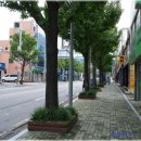 밤실로1 이미지