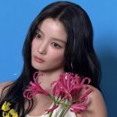 선아헤어 이미지