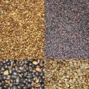 경희한약국 이미지