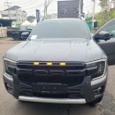 와일드그린 이미지