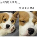 파랑 이미지