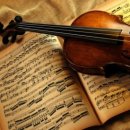 [신규]바이올린 이미지