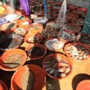 삼천포회구이 이미지