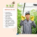 승부농장 이미지