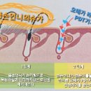 금손언니 이미지