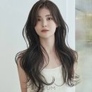 혜영헤어 네이버블로그