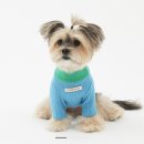 멍뭉(MUNGMOONG) 이미지